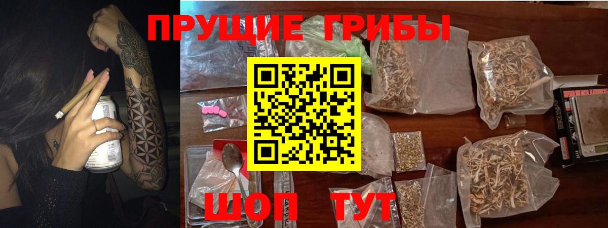 Новороссийск  Галлюциногенные грибы Psilocybine cubensis  Вход с VPN 