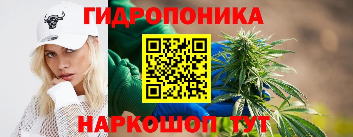 Конопля OG Kush Новороссийск